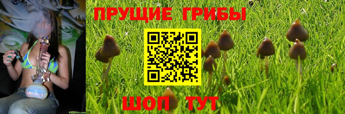 Галлюциногенные грибы ЛСД  Вход с VPN  Острогожск 